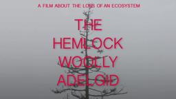 The Hemlock Woolly Adelgid - Trailer