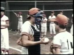 Here Come the Tigers - New batter for the team