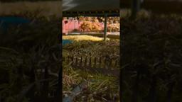 What comes up must come down.