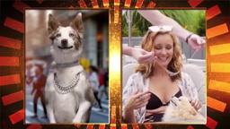 PAWPARAZZI   Trailer w VO