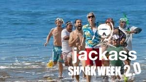 Jackass Shark Week 2.0