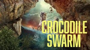 Crocodile Swarm