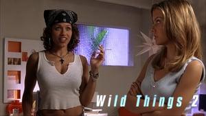 Wild Things 2