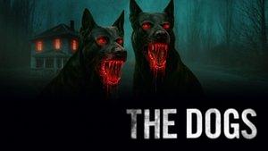 The Dogs