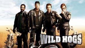 Wild Hogs