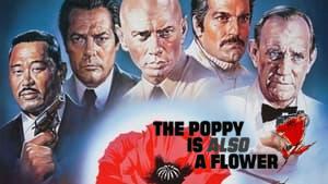 The Poppy Is Also a Flower