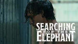Searching for the Elephant