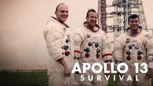 Apollo 13: Survival