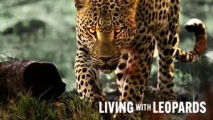 Living with Leopards