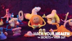 Hack Your Health: The Secrets of Your Gut