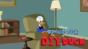 D.I.Y. Duck