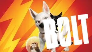 Bolt