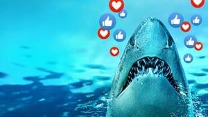 Sharks Gone Viral