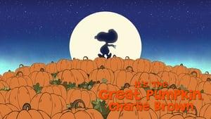 It's the Great Pumpkin, Charlie Brown