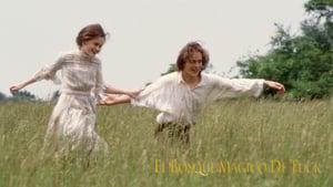Tuck Everlasting