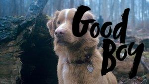 Good Boy