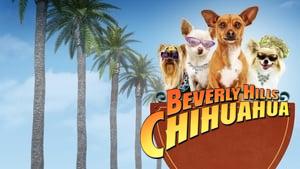 Beverly Hills Chihuahua