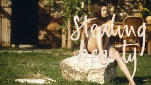 Stealing Beauty