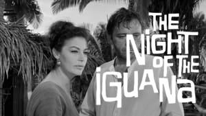 The Night of the Iguana