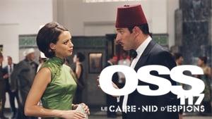 OSS 117: Cairo, Nest of Spies