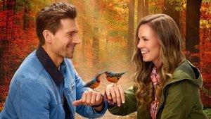 Adventures in Love & Birding