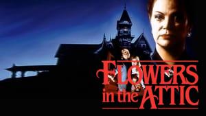Flowers in the Attic