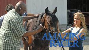 Amazing Racer