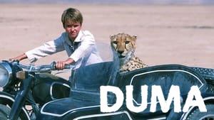 Duma
