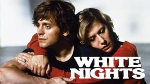 White Nights