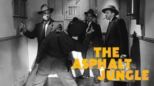 The Asphalt Jungle