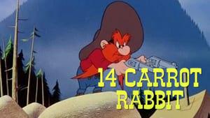 14 Carrot Rabbit