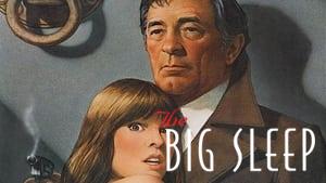 The Big Sleep