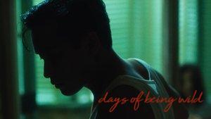 Days of Being Wild