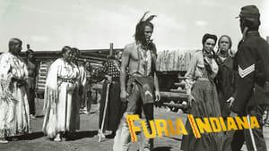 Chief Crazy Horse