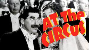 At the Circus