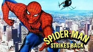 Spider-Man Strikes Back