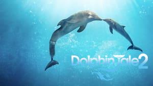 Dolphin Tale 2