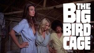 The Big Bird Cage