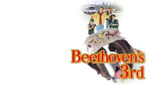 Beethoven's 3rd