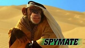 Spymate