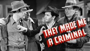 They Made Me a Criminal