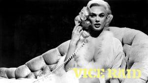 Vice Raid