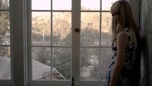 The Curve of Forgotten Things