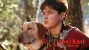 Far from Home: The Adventures of Yellow Dog