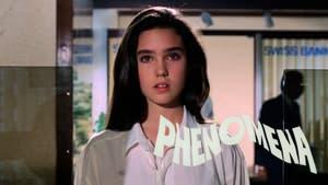 Phenomena