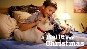 A Belle for Christmas