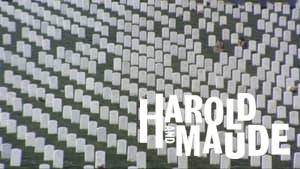 Harold and Maude