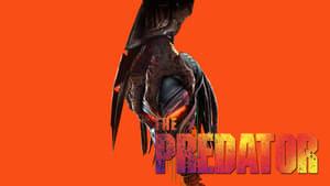 The Predator