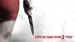 I Spit on Your Grave III: Vengeance Is Mine