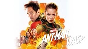 Ant-Man and the Wasp